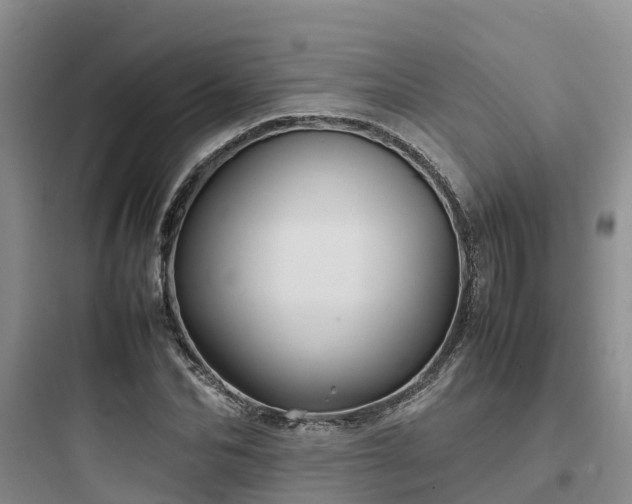 X0000097920974200803211523