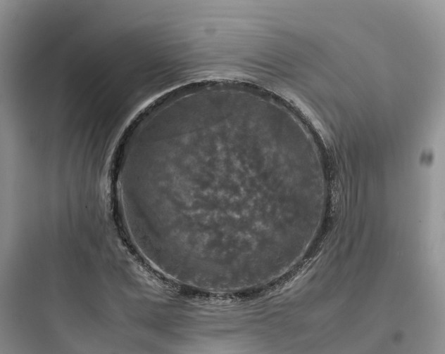 X0000097920975200803211523