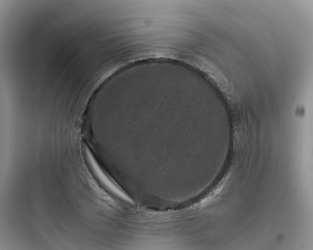 X0000097920977200803211523