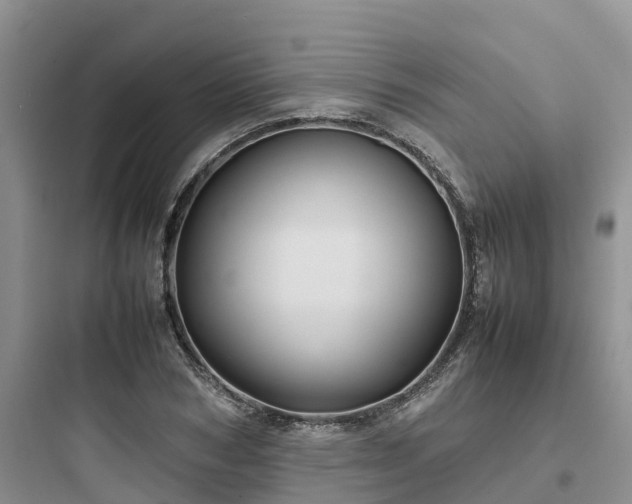 X0000097920978200803211523
