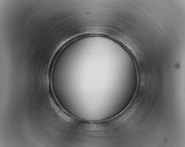X0000097920980200803211523