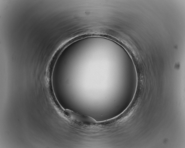 X0000097920981200803211523