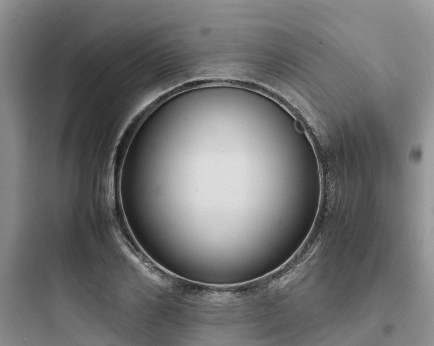 X0000097920982200803211523