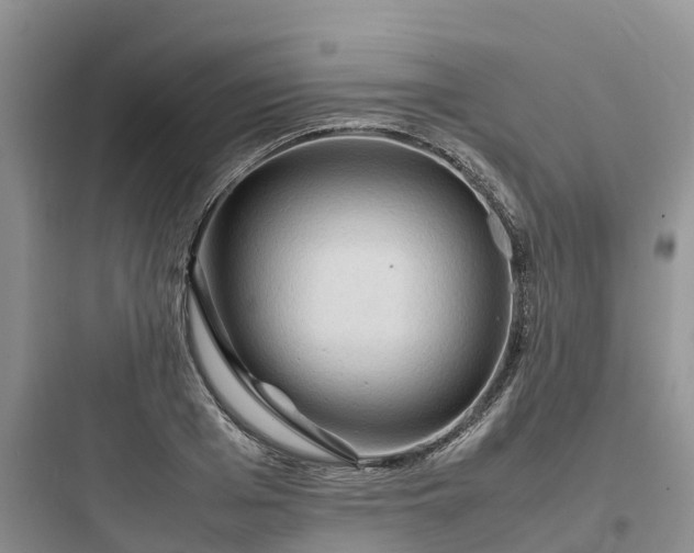 X0000097920985200803211523