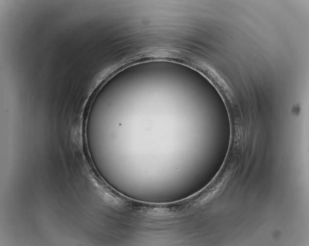 X0000097920986200803211523