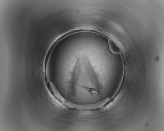 X0000097920988200803211523