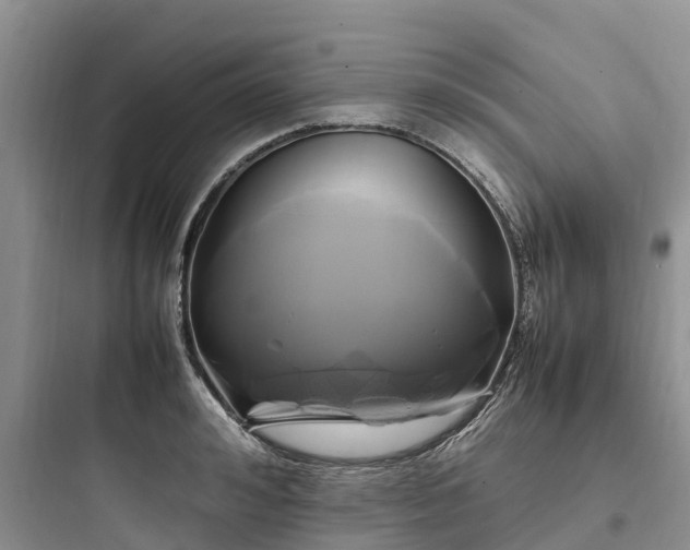 X0000097920992200803211523