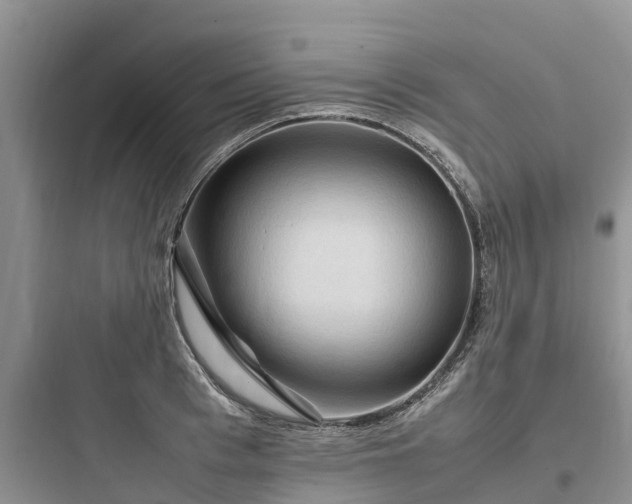 X0000097920993200803211523