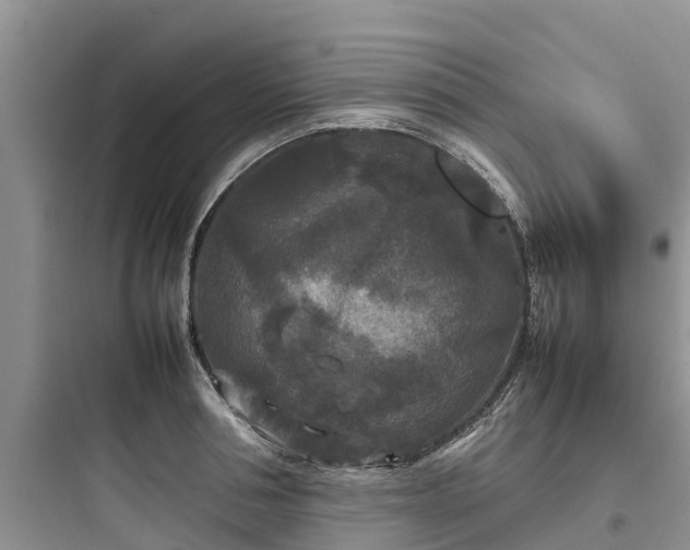 X0000097920994200803211523