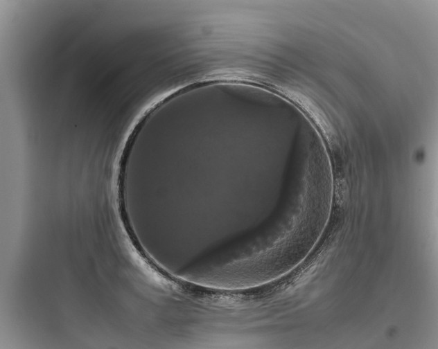 X0000097920995200803211523