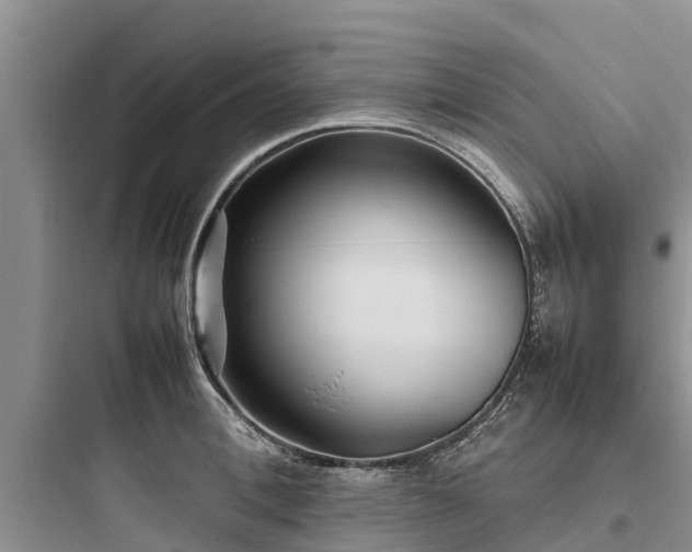 X0000097920996200803211523