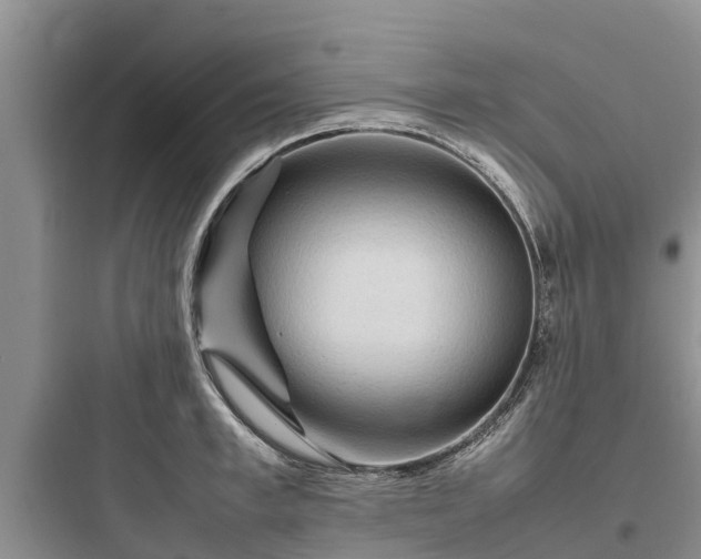 X0000097920997200803211523