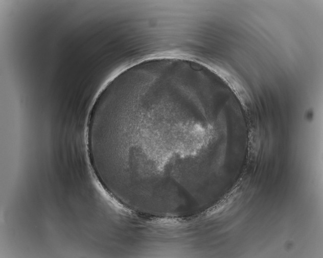 X0000097920998200803211523