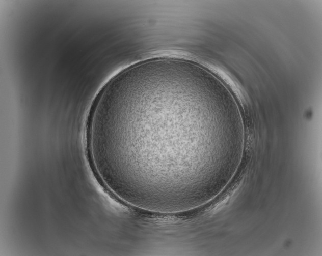 X0000097920999200803211523