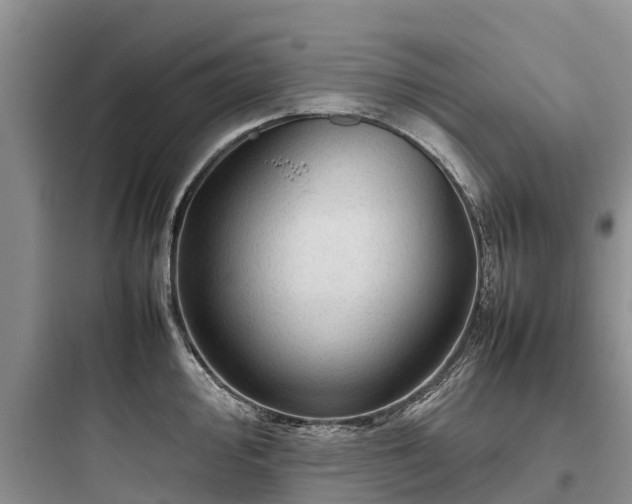 X0000097921000200803211523