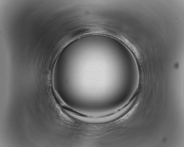 X0000097921001200803211523