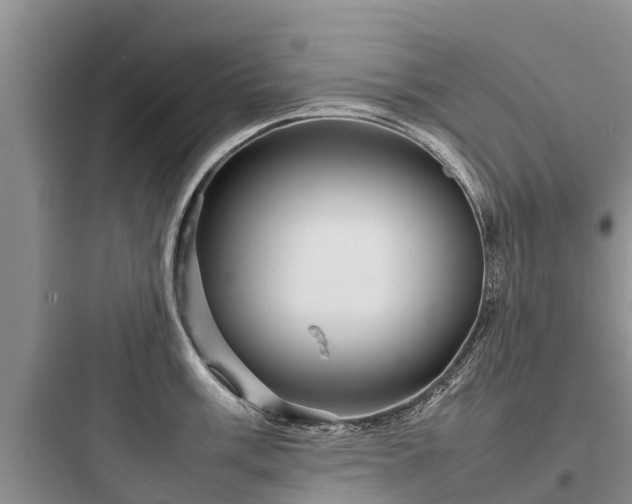 X0000097921003200803211523