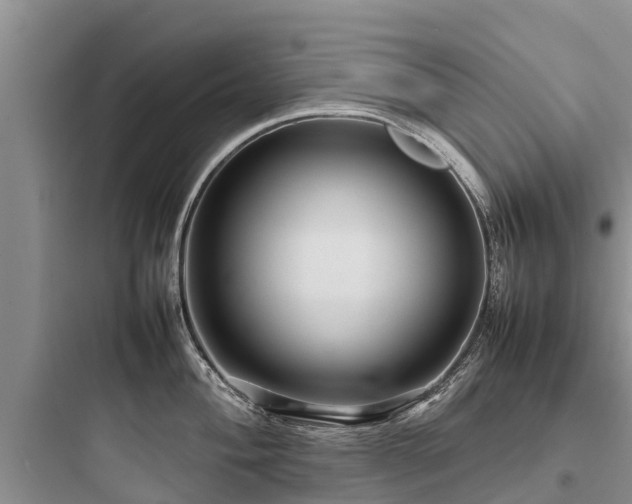 X0000097921004200803211523
