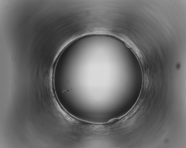 X0000097921006200803211523