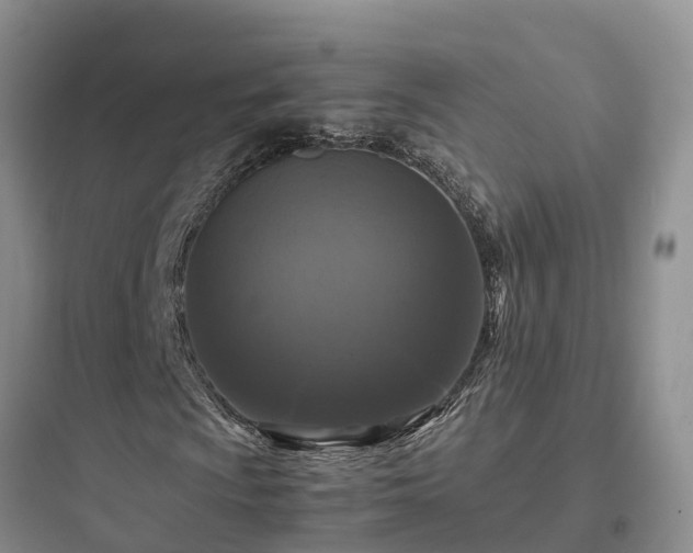 X0000097921009200803211522