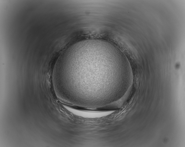 X0000097921010200803211522