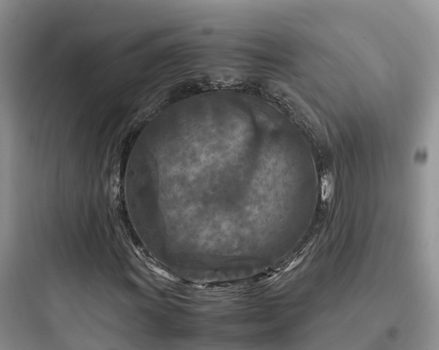 X0000097921011200803211522