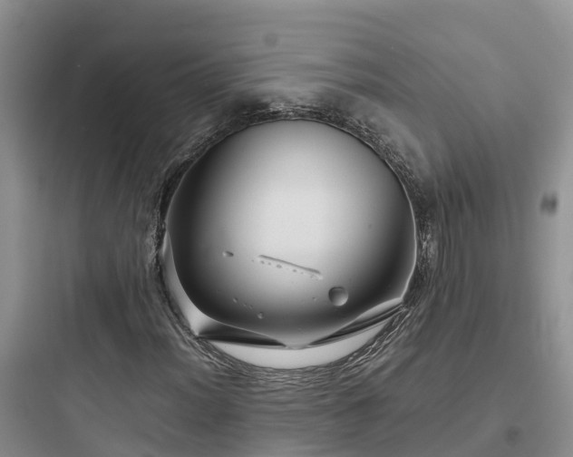 X0000097921012200803211522