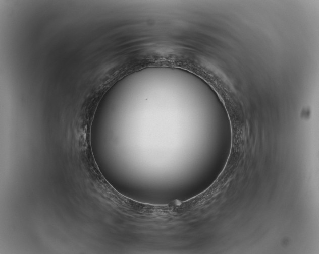 X0000097921013200803211522