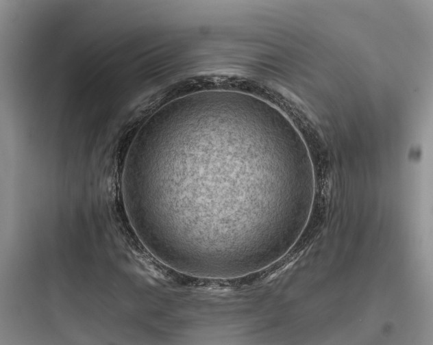 X0000097921014200803211522