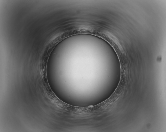 X0000097921015200803211522