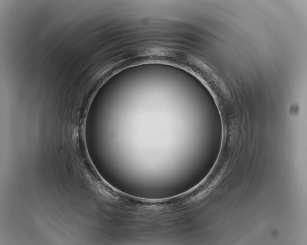 X0000097921017200803211522