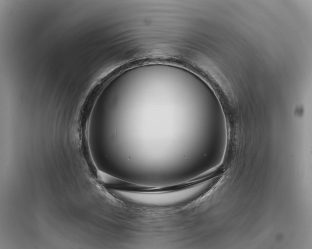 X0000097921018200803211522