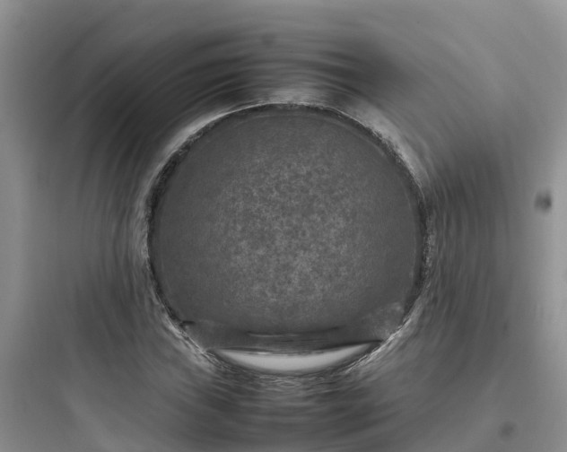 X0000097921019200803211522