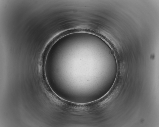 X0000097921021200803211522