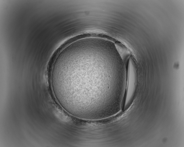 X0000097921022200803211523