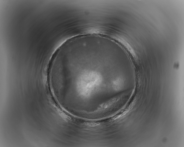 X0000097921023200803211523