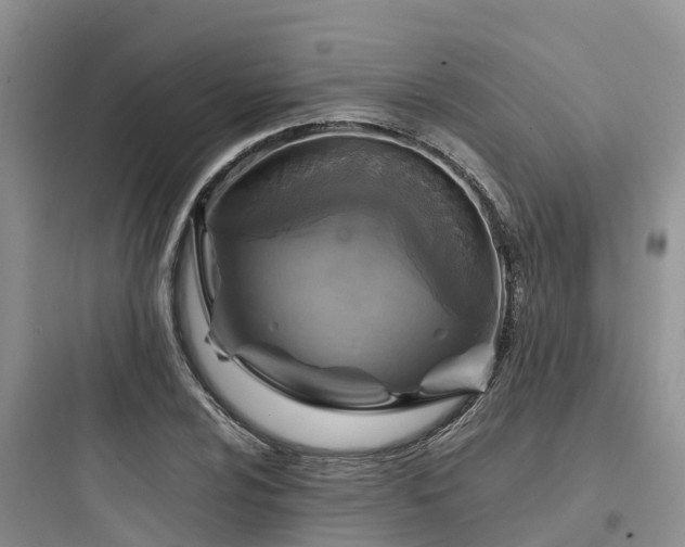 X0000097921024200803211523