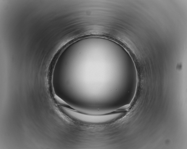 X0000097921026200803211523