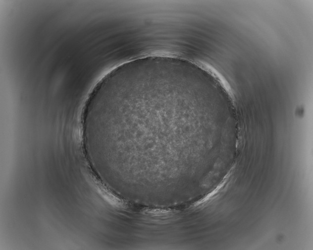 X0000097921027200803211523