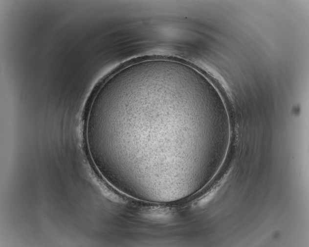 X0000097921029200803211523