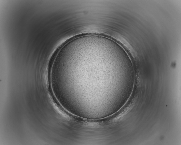 X0000097921030200803211523