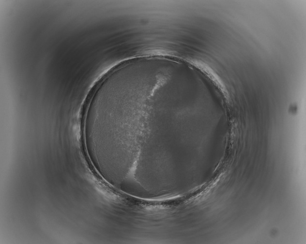X0000097921031200803211523
