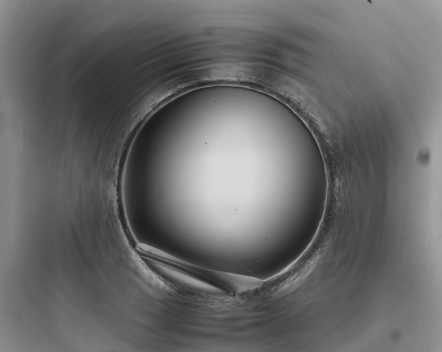 X0000097921033200803211523