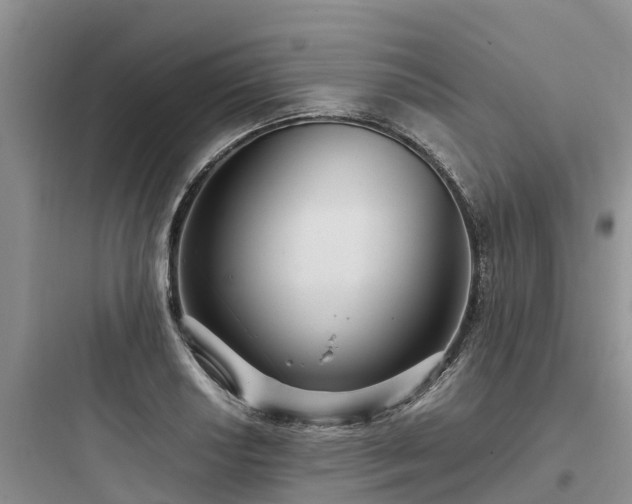 X0000097921034200803211523