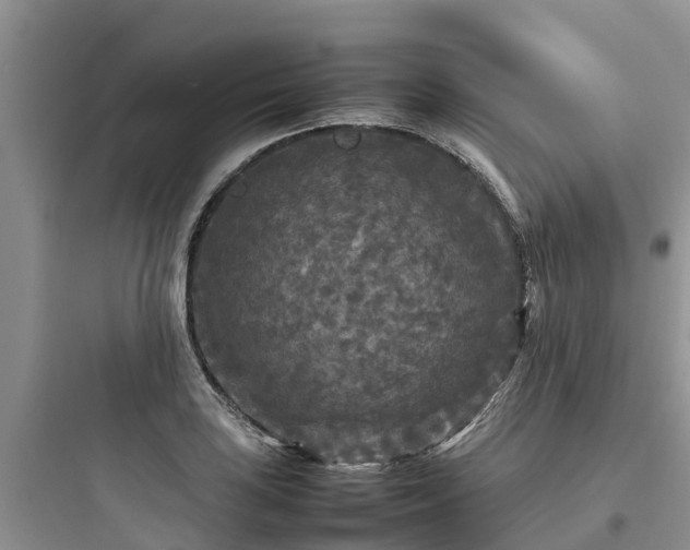X0000097921035200803211523