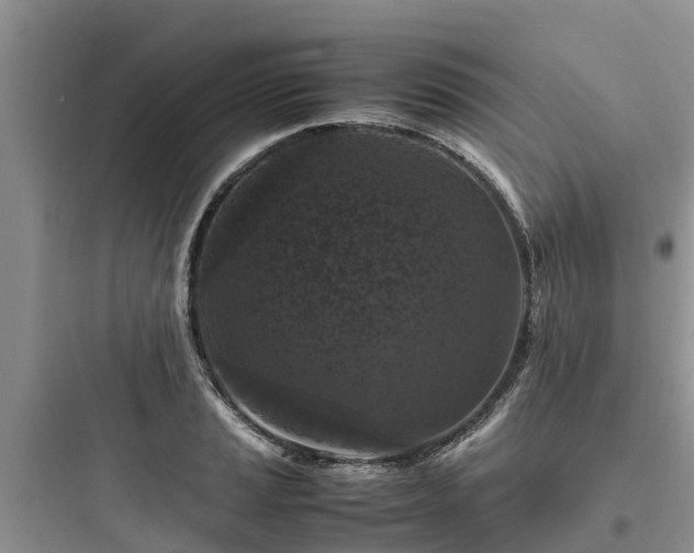 X0000097921037200803211523