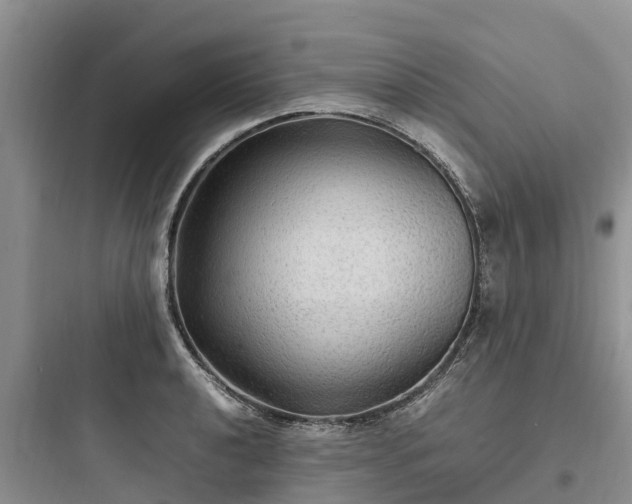 X0000097921040200803211523