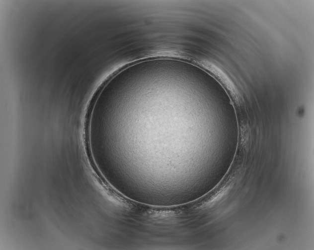 X0000097921043200803211523