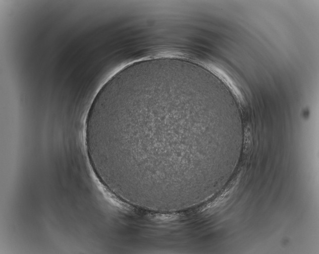 X0000097921047200803211523