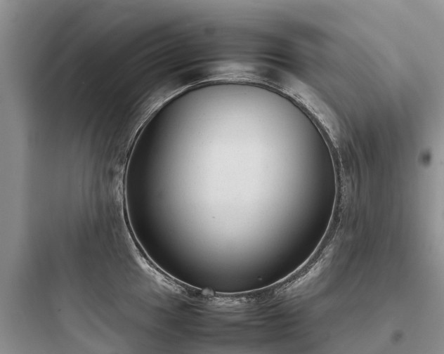 X0000097921049200803211523